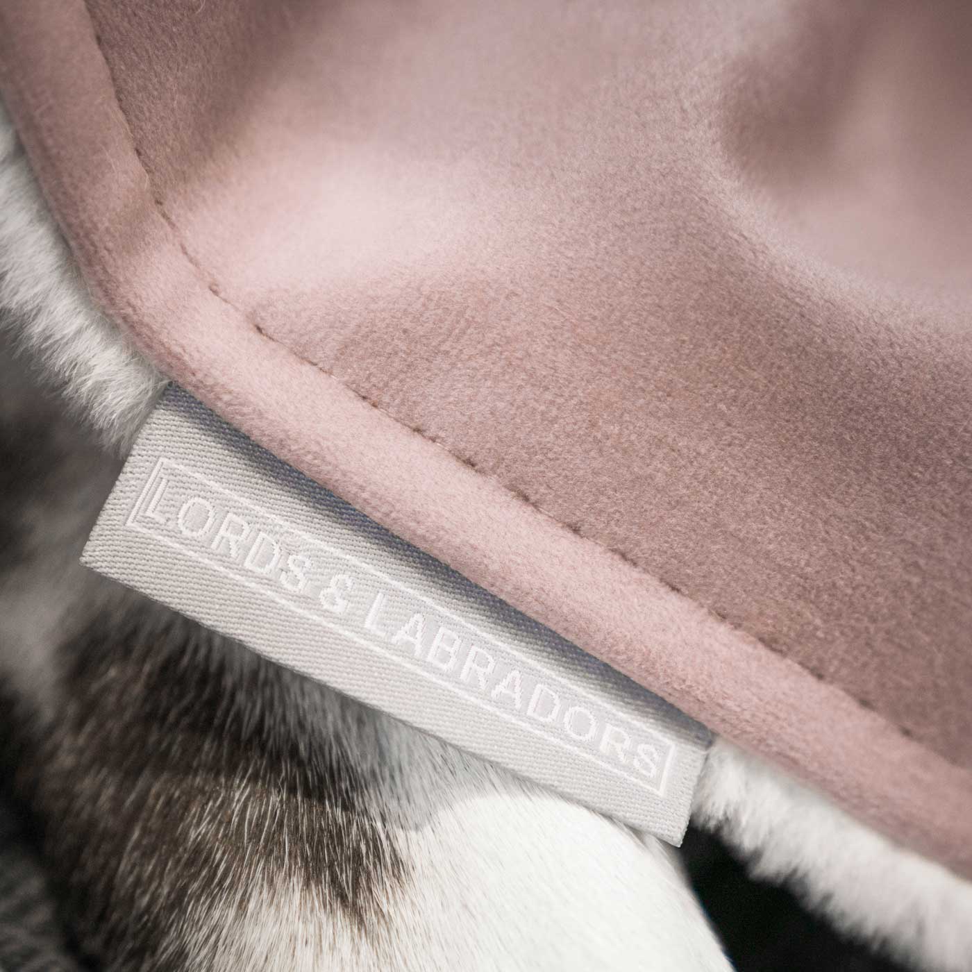 Sammetblomma Hund- och valpfilt i Blossom Velvet för wholesale på Faire3