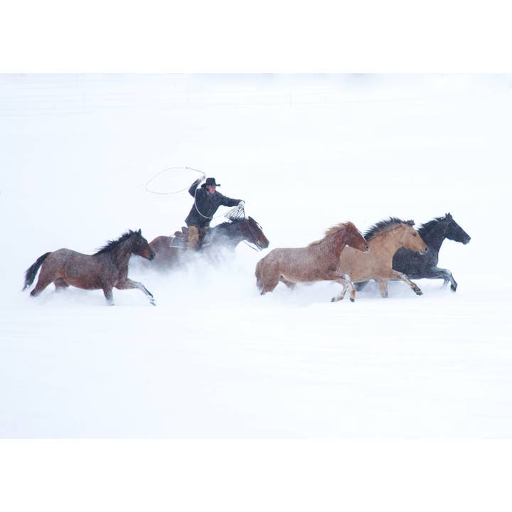 Ropin' the Storm pour la vente par Laurie Childs Photography