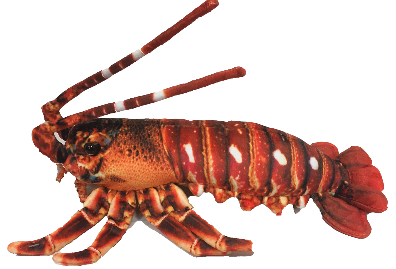 Texas Toy Distribution - Wholesale Stuffed/Plush Toy - Kids & Baby - Crawfish / Lobster 12.5" Aquatic Plush Animal1