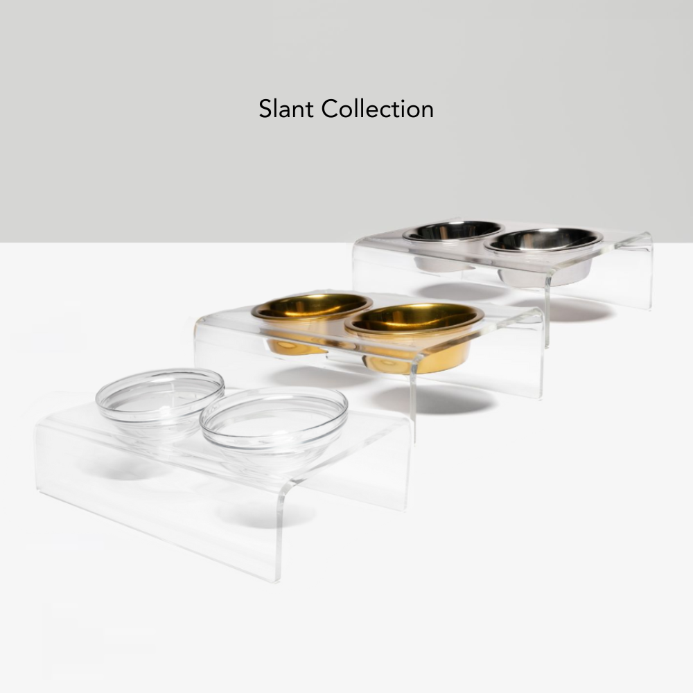 Hiddin - Wholesale Pet Bowl - Cat/Dog - Slant Gold Feeder11