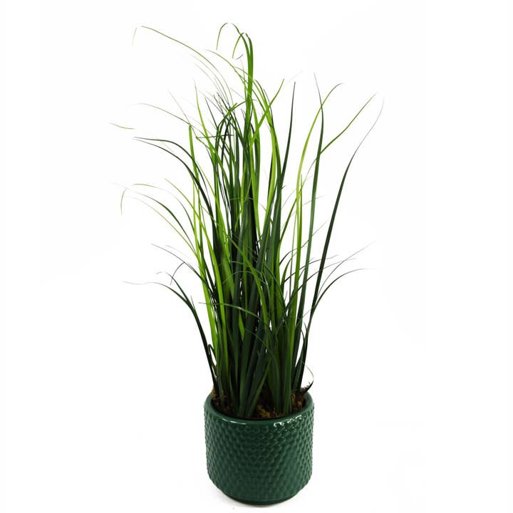 Leaf Design UK LTD - Venta al por mayor Plantas artificiales - Planta de césped artificial, follaje, planta de limoncillo, plantas de 60 cm