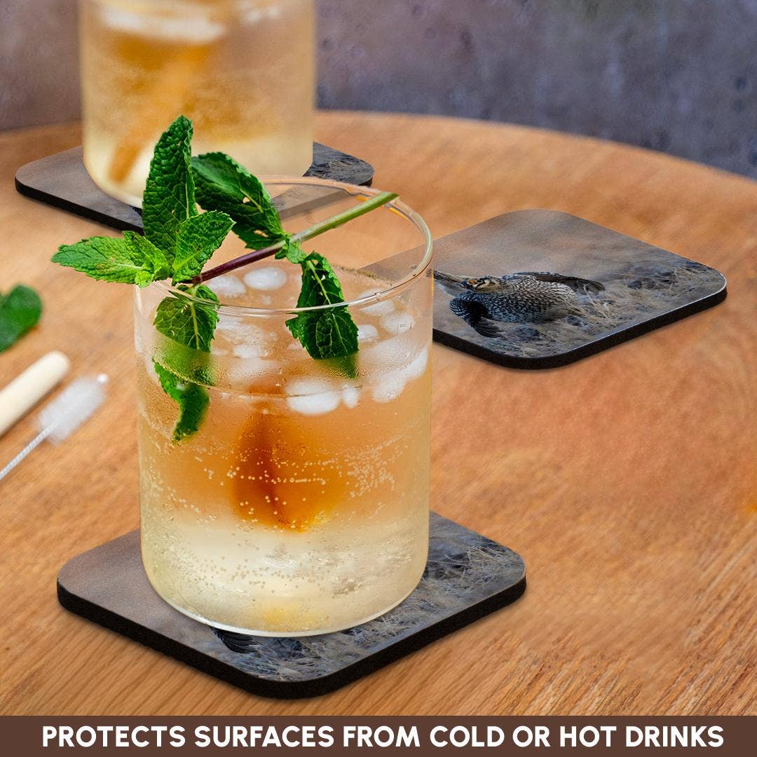 3dRose - Wholesale Coasters - 3dRose, Sharp-tailed grouse claiming lek territory, Coaster9