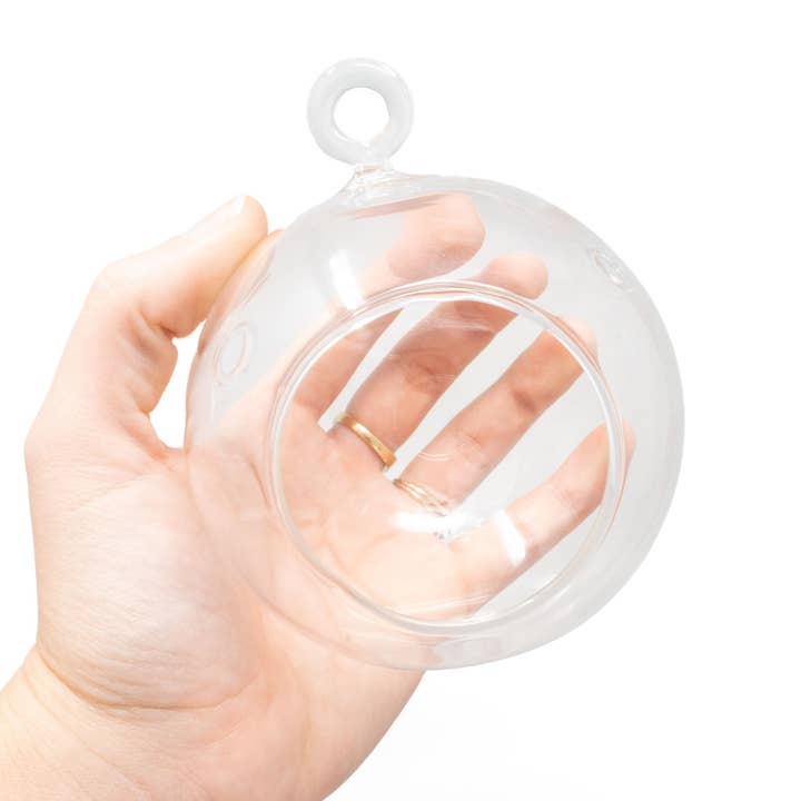 Hanging Round Bottom Glass Terrariums for wholesale by Air Plant Shop