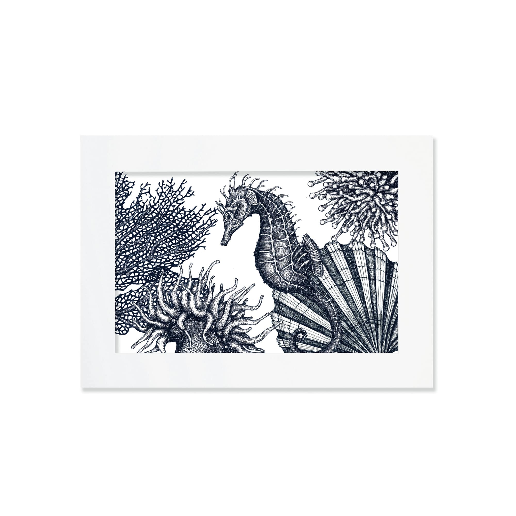 Cream Cornwall – wholesale Art print – Blue & White Seahorse Scene Art Print – Mounted in 3 Sizes0