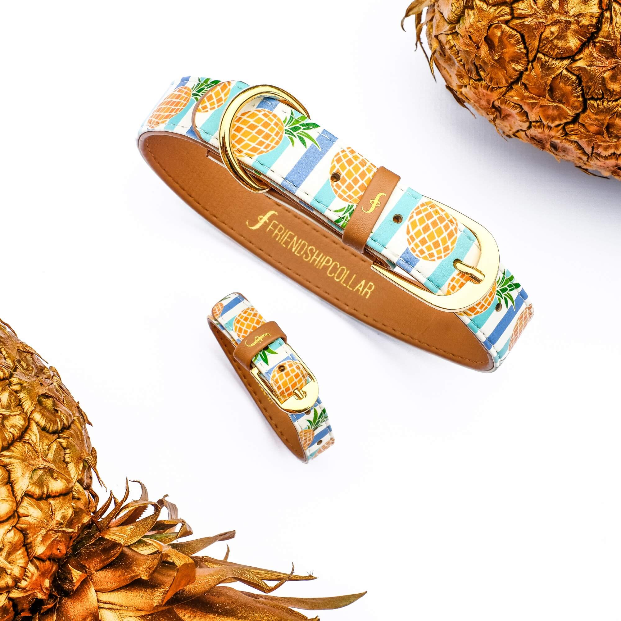 Friendship Collar – wholesale Pet collar – Dog – Pina Collarda7