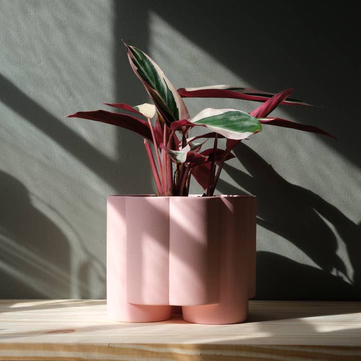 Misewell - Wholesale Plant Pot - Pillar Planter2