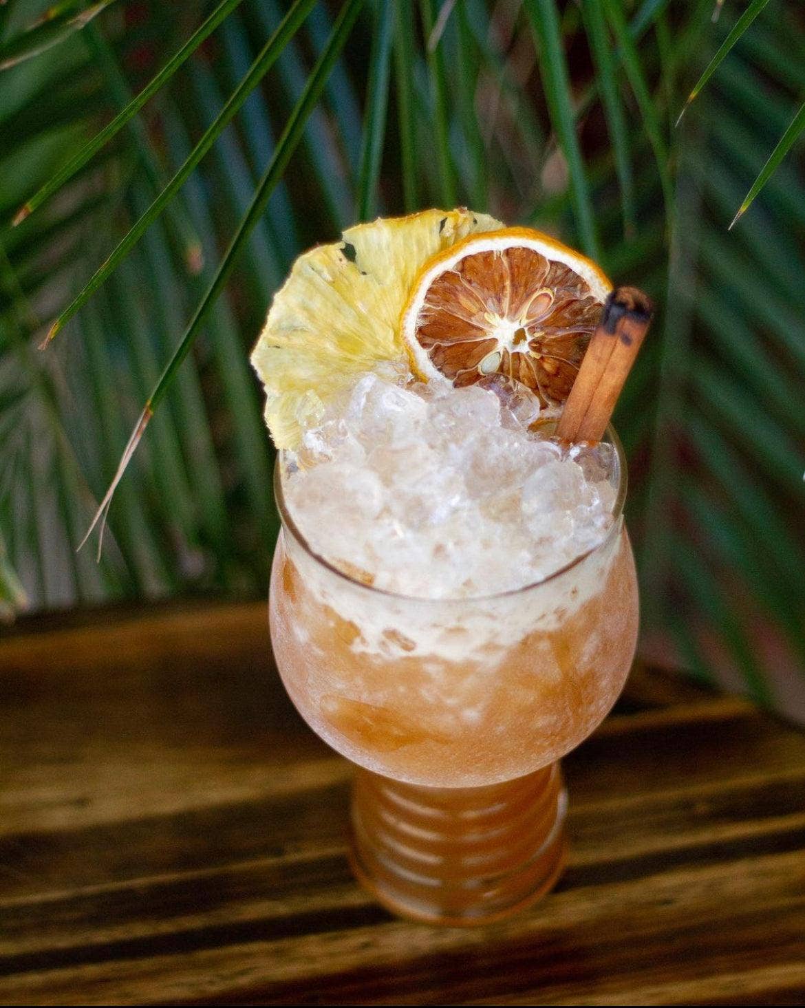 Cocktail Garnish Co. - Vente Fruits secs/déshydratés - Garniture de citron déshydraté, 85 g (45+ tranches)7