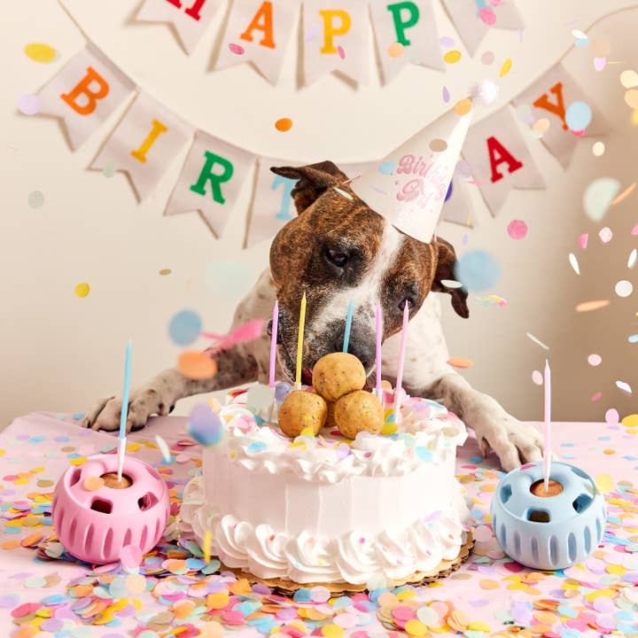 Woof - Wholesale Pet Toy - Dog - Birthday Pops