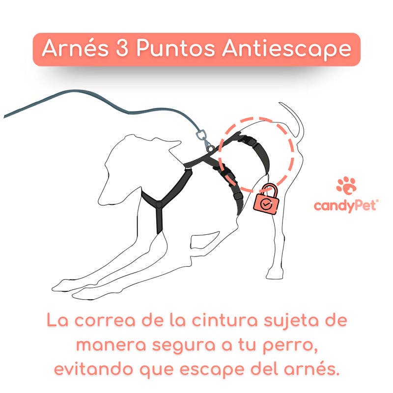 candyPet – Großhandel Haustiergeschirr – Hund – 3-Punkt Anti-Fluchthund-Geschirr3
