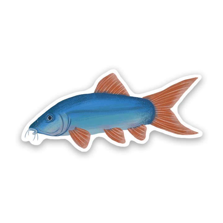 Autocollant en vinyle bleu Botia Fish pour la vente par Proper Wolf