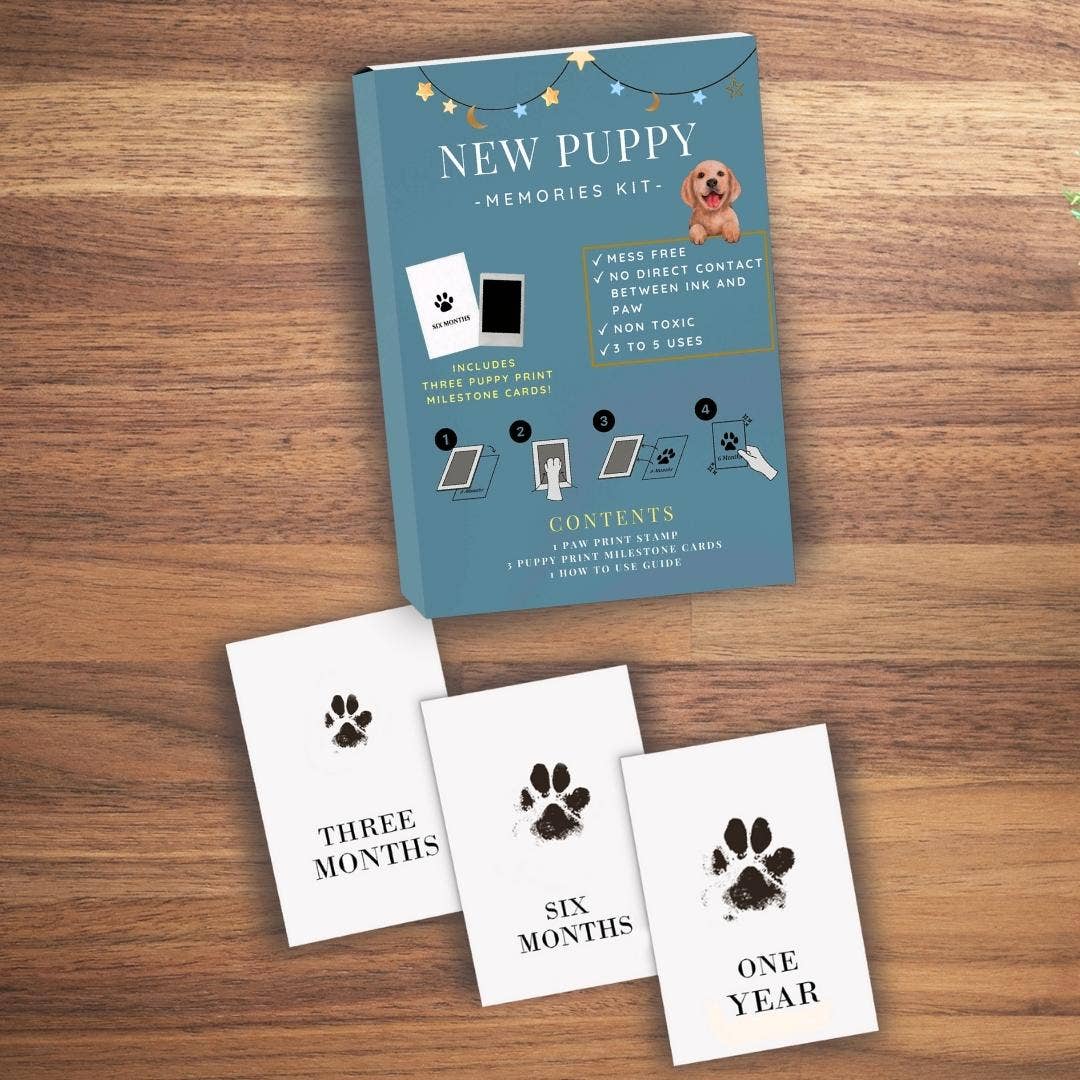Paw Prints – wholesale DIY craft kit – Pet Paw Print Kits: Cats, Dogs, Puppy, Guinea Pig, Rabbit12