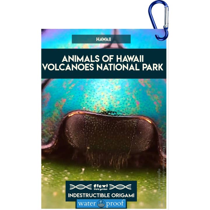 Tiere des Hawaii-Volcanoes-Nationalparks-Unzerstörbares Origami für den Großhandel von Flexi Field Guides