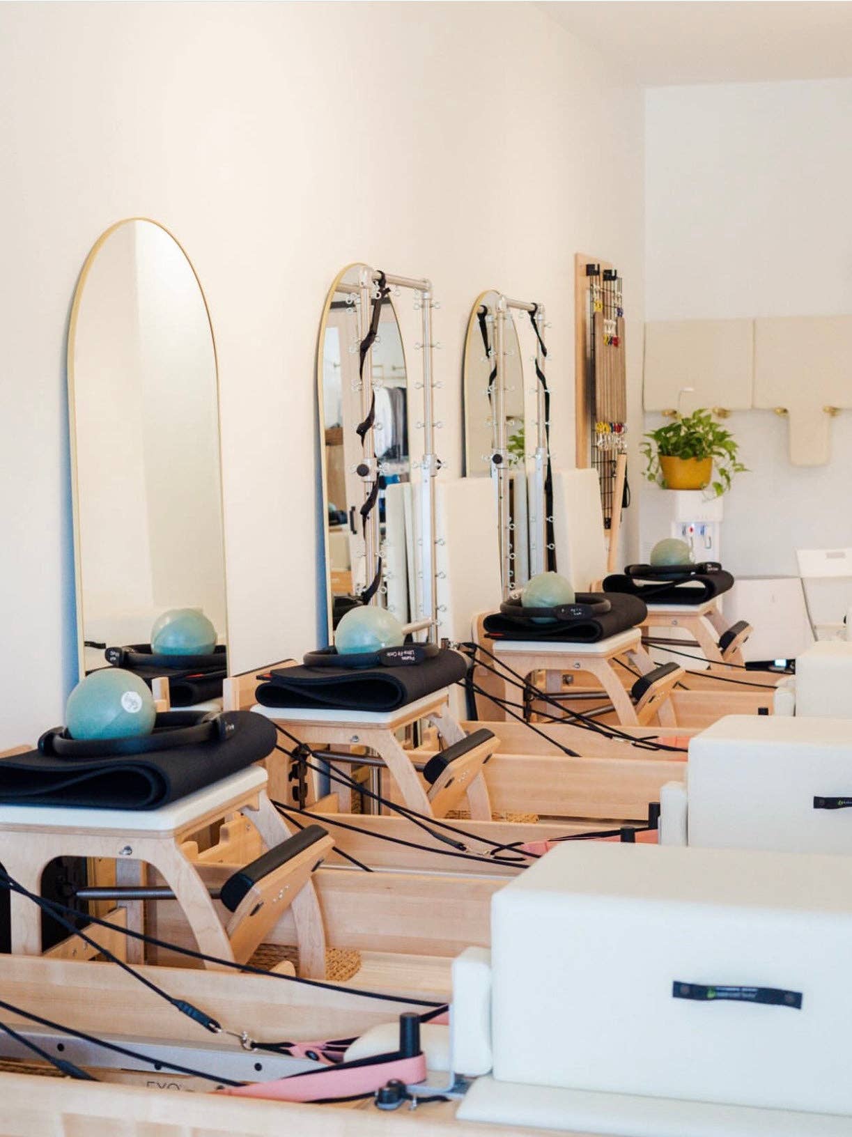 Reformer Loops – Großhandel Fitnessgeräte – Premium Loops - Koralle1