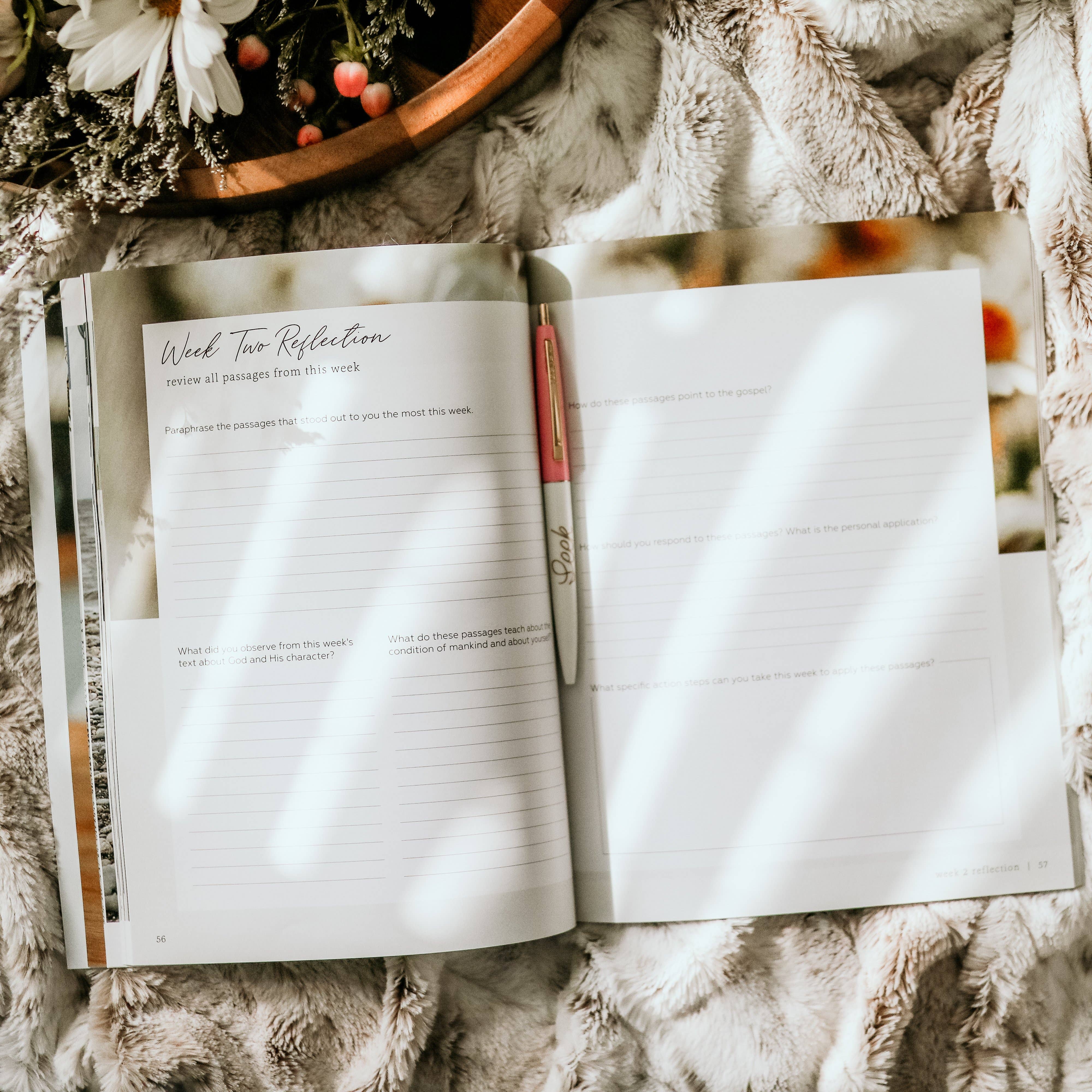 The Daily Grace Co - Wholesale Religion - More Than Anything | Idolatry Study7