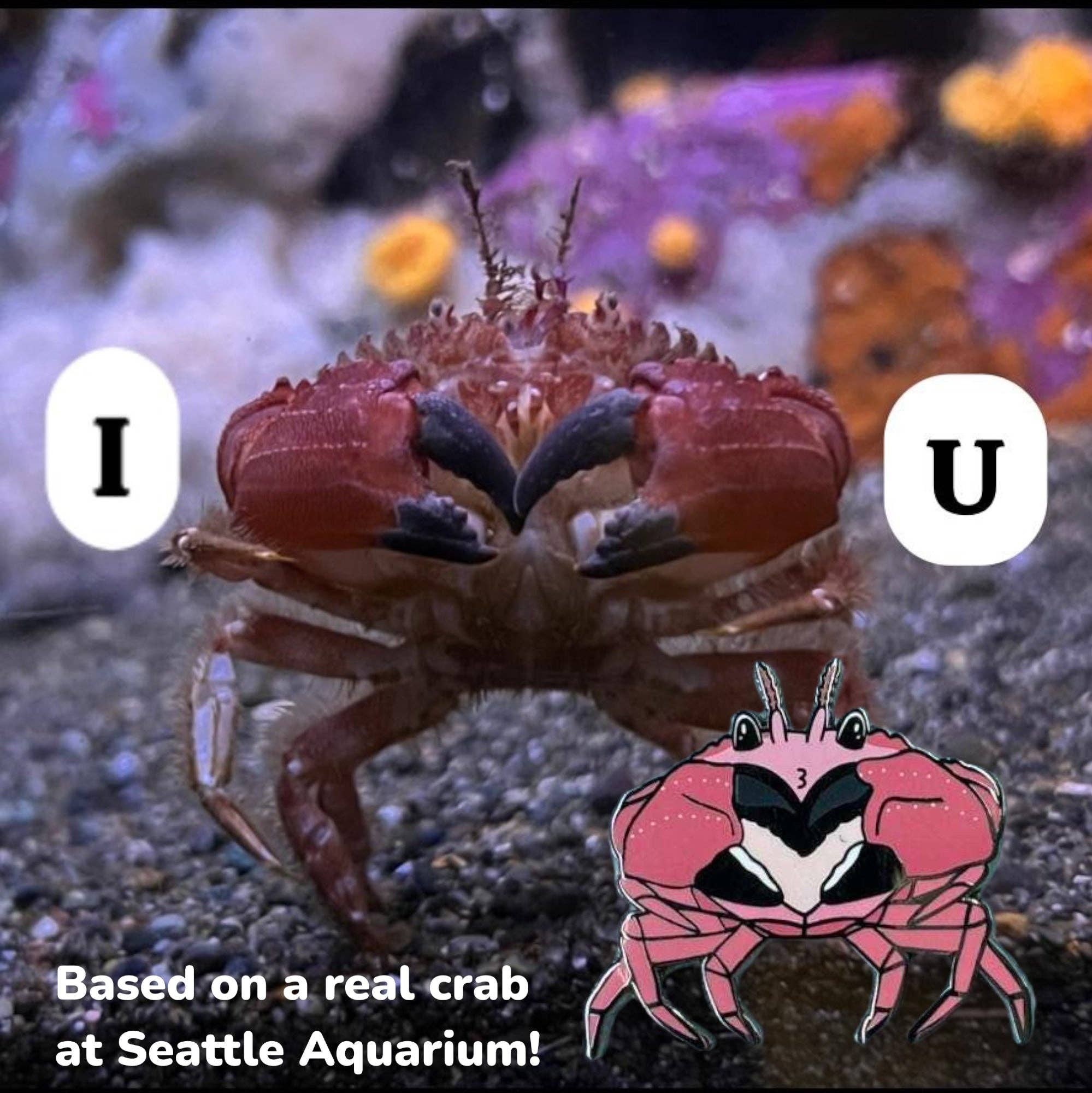 Fin Pin Shop – wholesale Lapel pin/button – Heart claw crab enamel pin • Patreon exclusive1