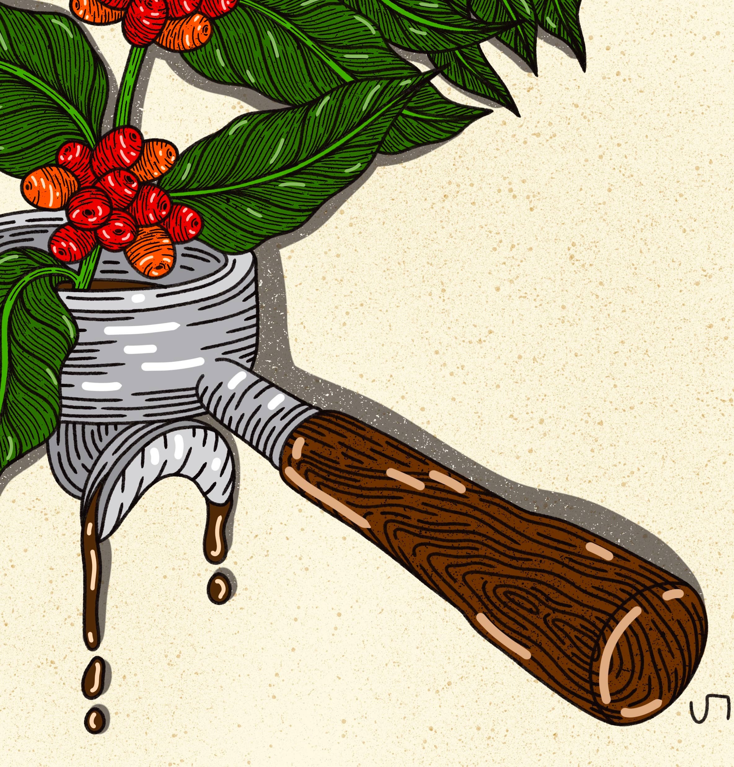 Howdy Studio - Wholesale Art Print - Coffee Plant2