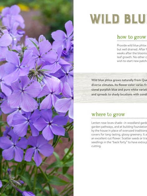 Best Perennials for Sun and Shade for wholesale by HarperCollins