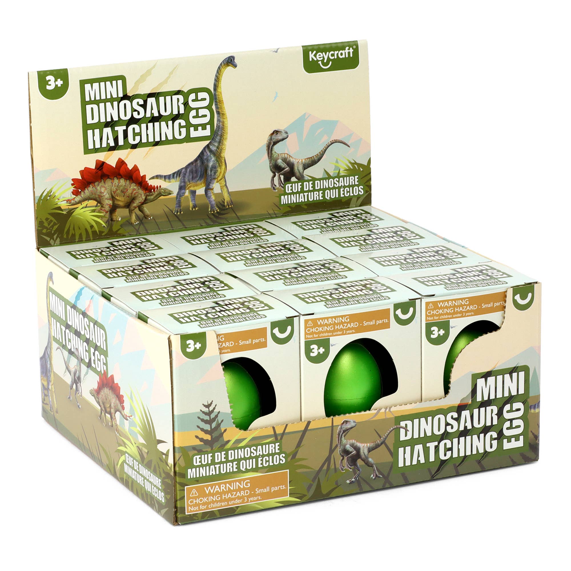 Keycraft - Wholesale Classic Toy - Kids - Keycraft Mini Dinosaur Hatching Eggs3