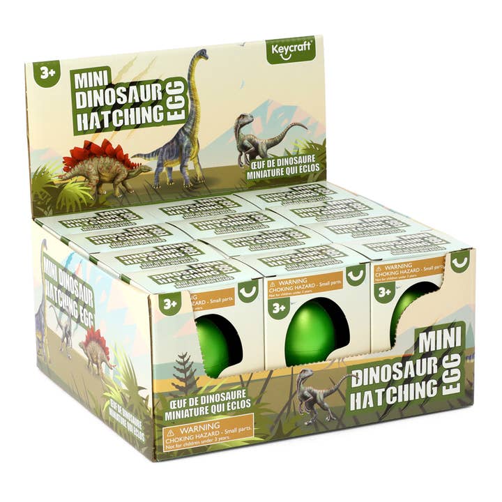 Keycraft - Wholesale Classic Toy - Kids - Keycraft Mini Dinosaur Hatching Eggs3