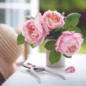 HarperCollins Focus - Wholesale Home & Garden - White and Faded: Restoring Beauty in Your Home and Life9