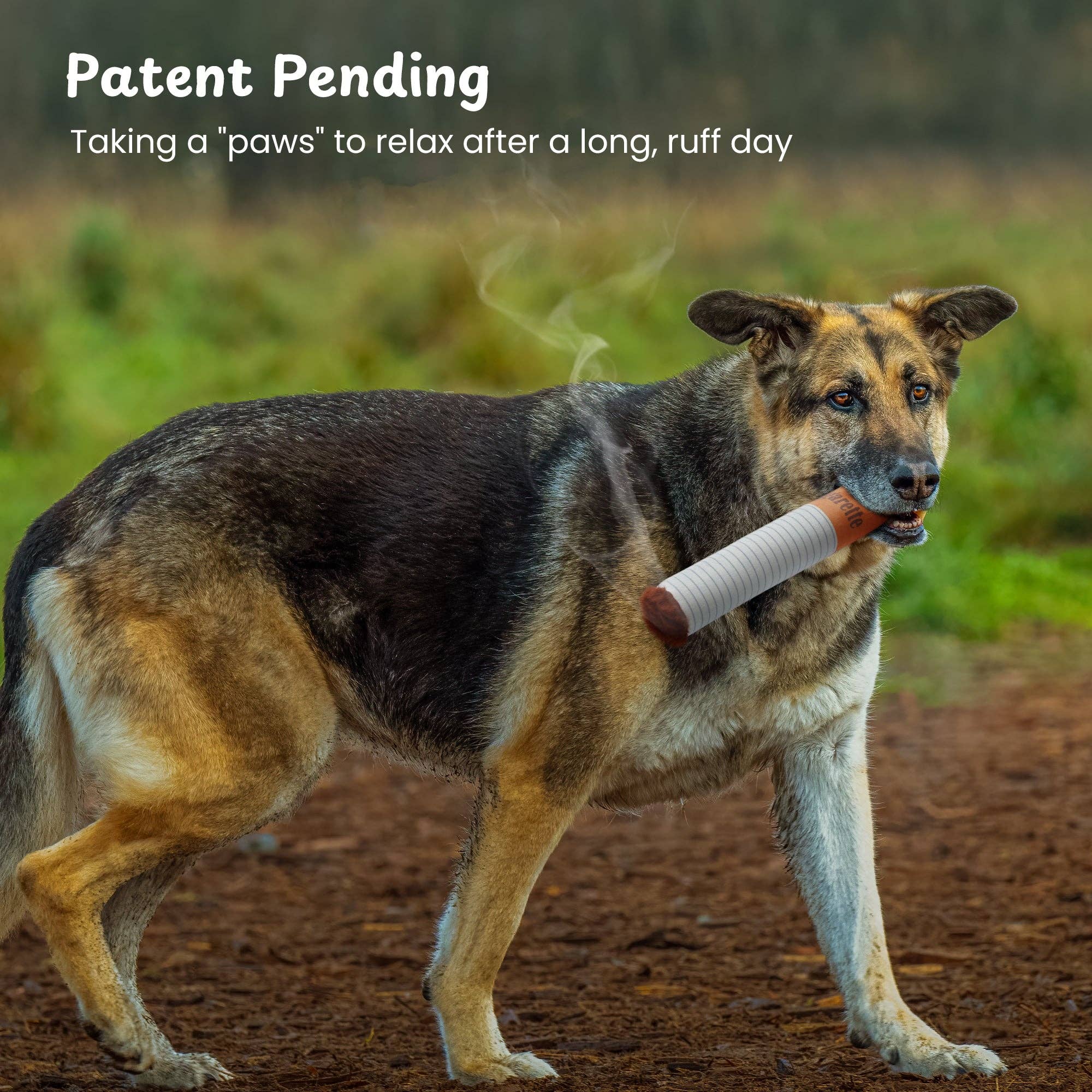 Nocciola - Wholesale Pet Plush Toy - Dog - Nocciola Big Giggle Puff Stick Toys with a Box3