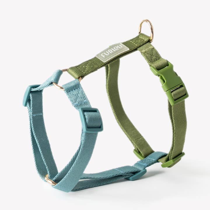 'Blå og Grøn - Hundesele' for engroshandel hos Furlou Europe