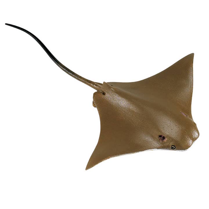 Cownose Ray - 161305 for wholesale by Safari Ltd.