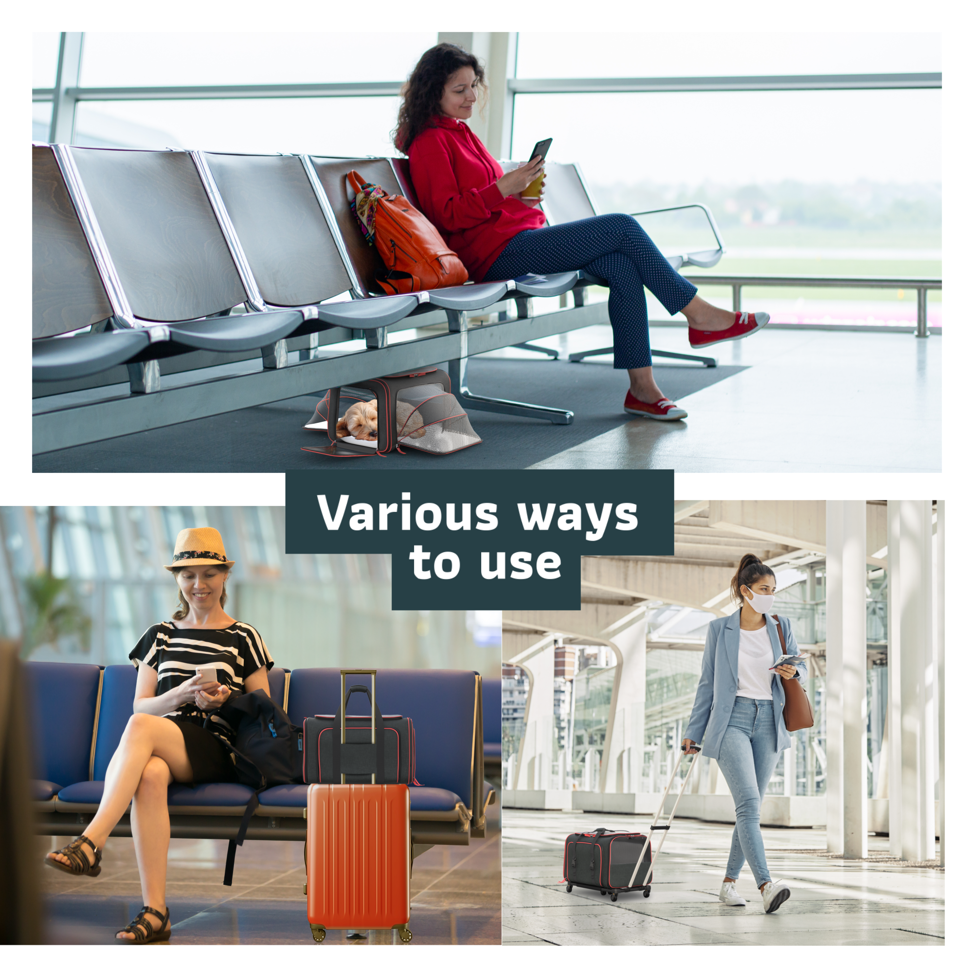 Katziela - Venta al por mayor Transportín - Gatos y perros - Transportadora para mascotas Katziela Rolling Rover con ruedas, expandable y autorizada para aerolíneas15