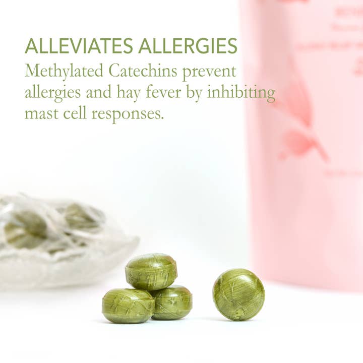 Dream of Japan - Wholesale Hard Candy - Benifuuki - Allergy Relief Japanese Green Tea Candy6