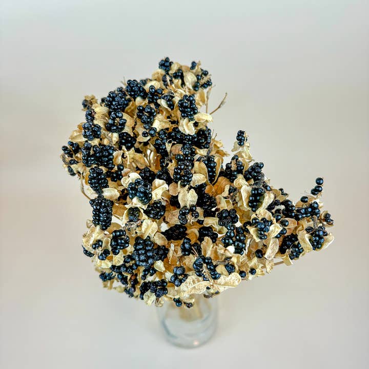 Blackberry Lilies – Naturally Dried Flowers and other Purchase wholesale dried foliage. Free returns & net 60 terms on Faire trending on Faire.