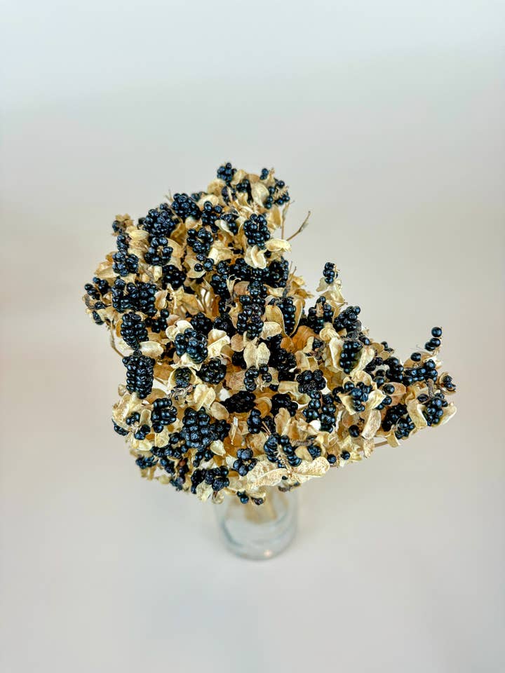 Blackberry Lilies – Naturally Dried Flowers for wholesale by Lovejoy Farms Premium Dried Flowers