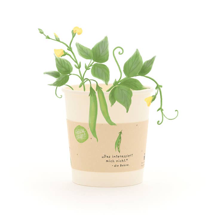 I'm not interested in that. The Bean - Cup (ORGANIC) and other Purchase Wholesale seed bean chocolate. Free Returns & Net 60 Terms on Faire trending on Faire.