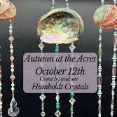 Cristaux de Humboldt pour la vente par Golden State Succulents