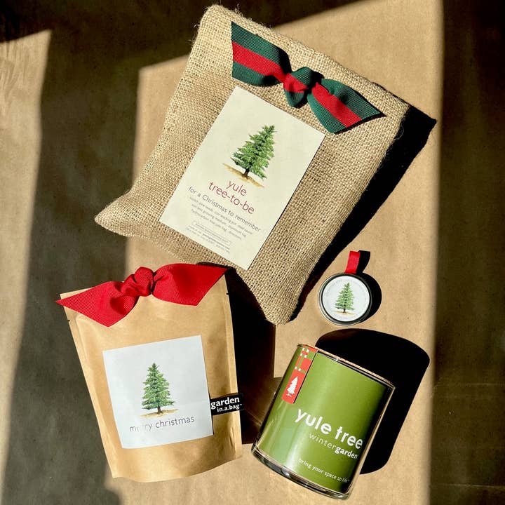 Potting Shed Creations, Ltd. - Wholesale Plant Seeds - Garden in a Bag | Christmas Tree | Best Seller4