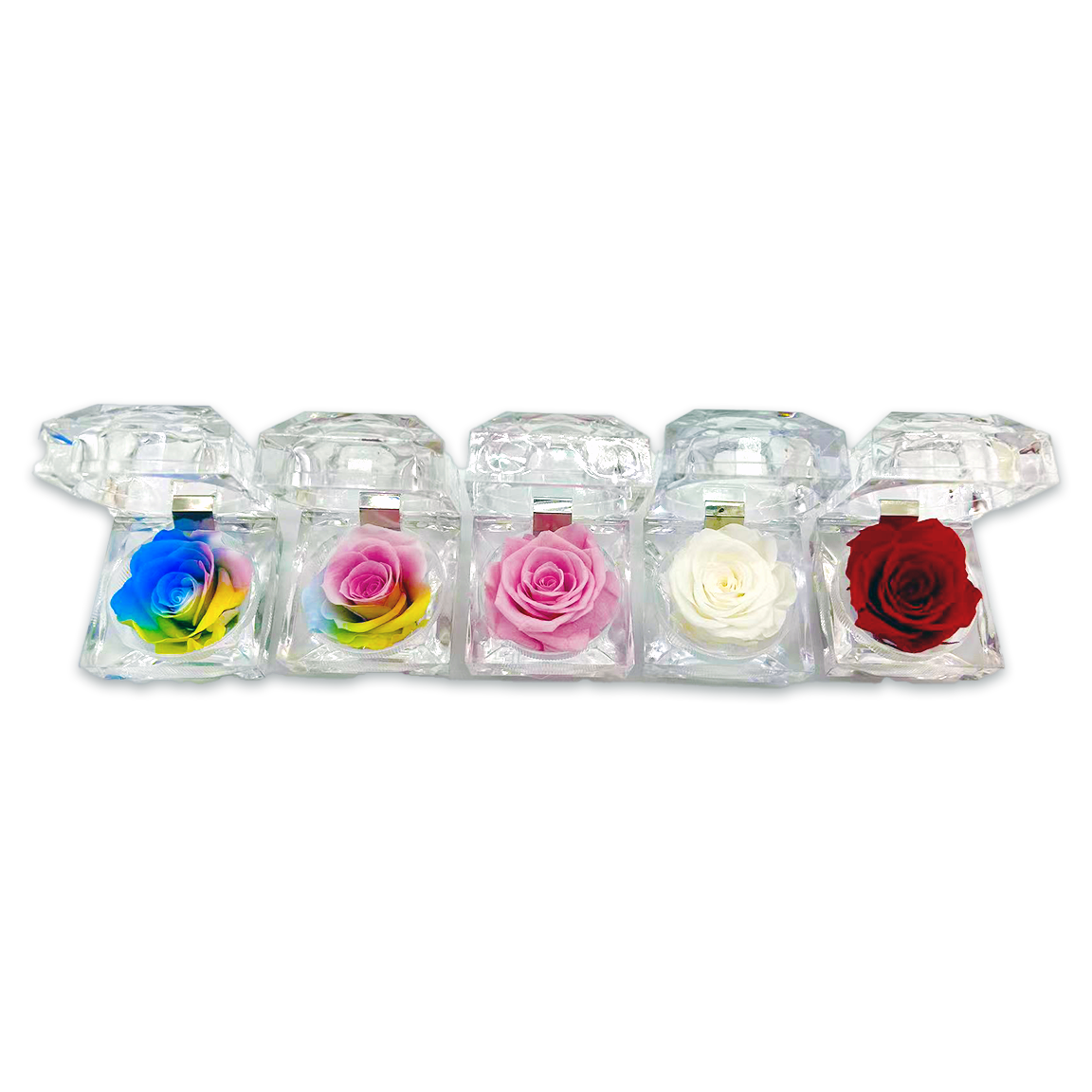 Novelty Brands - Wholesale Retailer Display - Home & Living - Real Preserved Rose Keepsake Gift Assortment - 12/Display3
