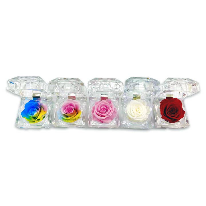 Novelty Brands - Wholesale Retailer Display - Home & Living - Real Preserved Rose Keepsake Gift Assortment - 12/Display3