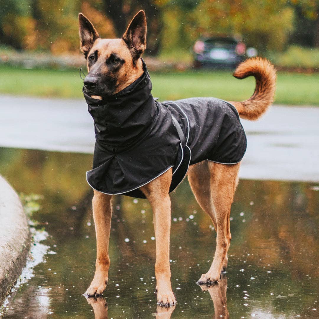 Stylish Hound - Wholesale Pet Raincoat - Dog - Black Raincoat6