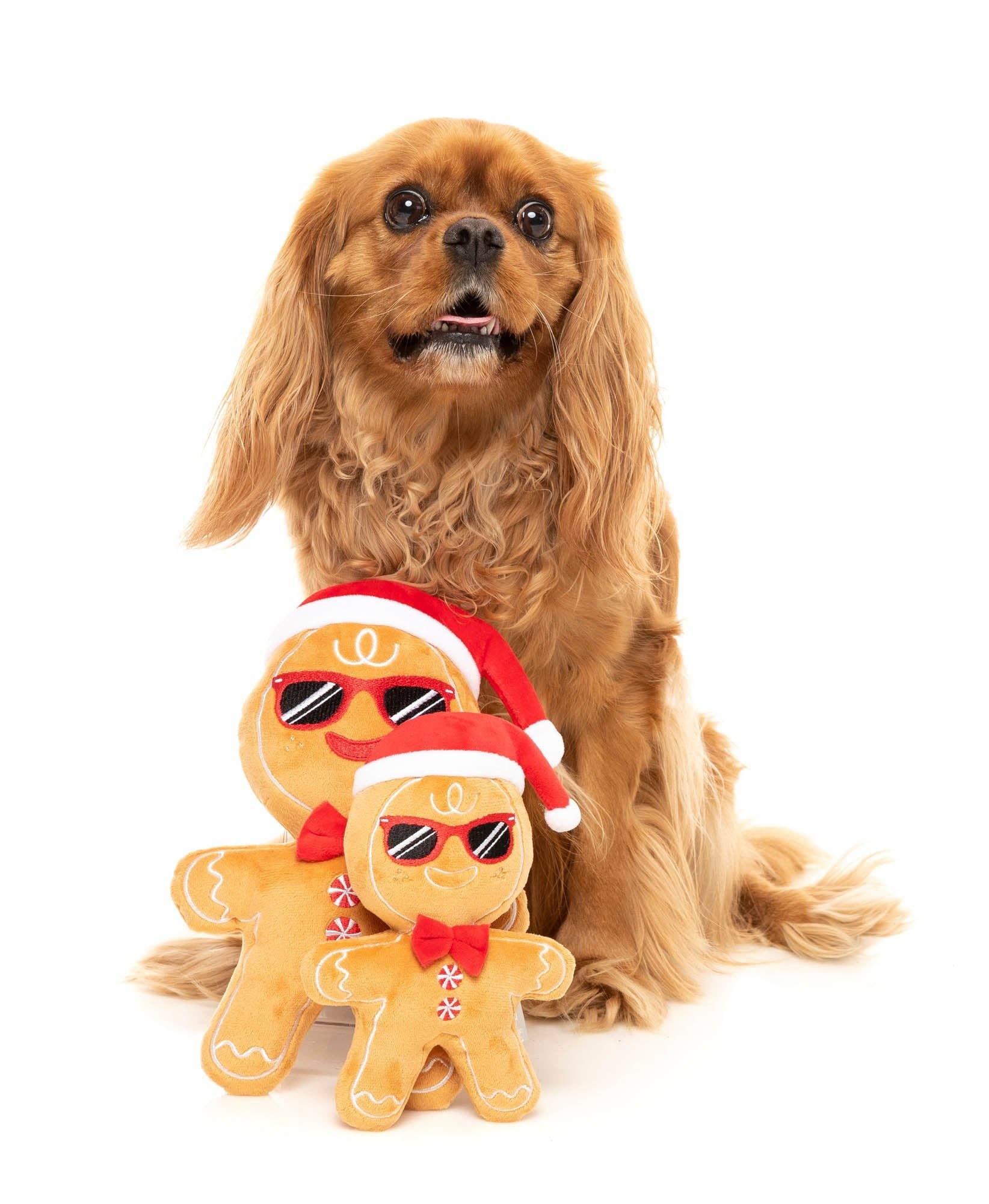 In Vogue Pets – wholesale Pet plush toy – Dog – Mr Gingerbread2