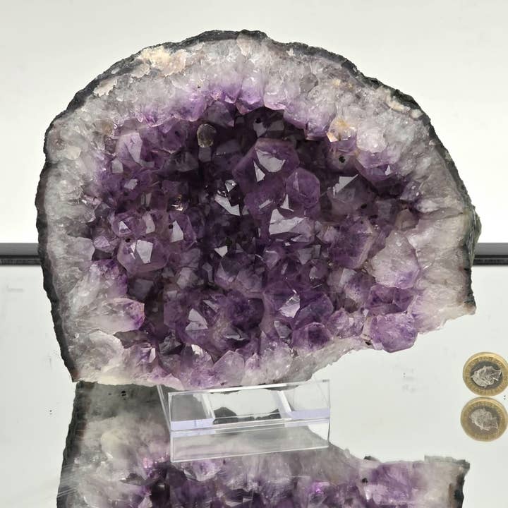 Ametista Brasiliana Cristallo Naturale a Grappolo 3,2kg per la vendita all'ingrosso da parte di Distinction Crystals