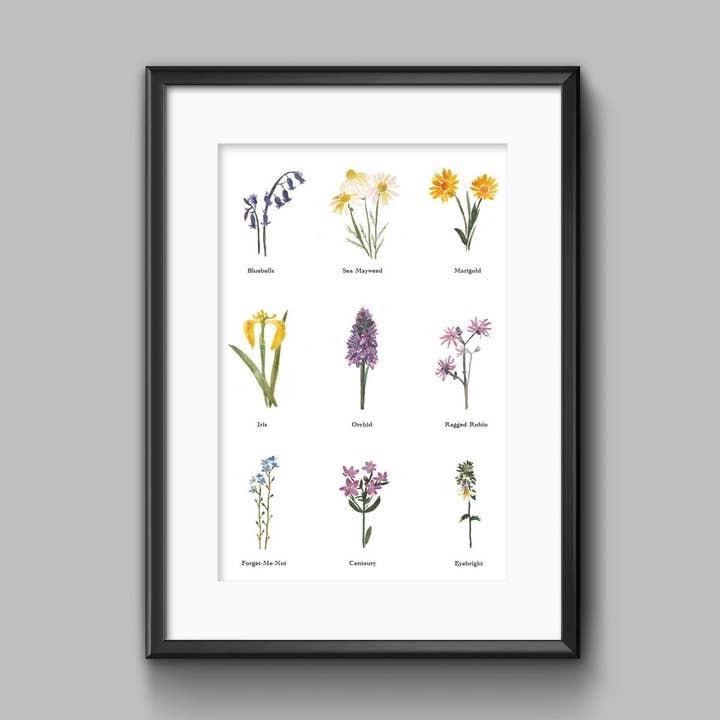 Your Favourite Wildflowers for wholesale by Sarah Leask Studio