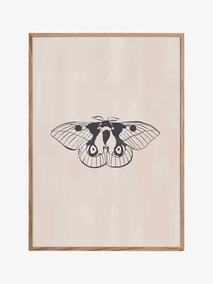 Impression d'art linéaire de papillon de nuit par Ivy Green Illustrations 4 5 Ratio pour la vente par Pictufy Wholesale