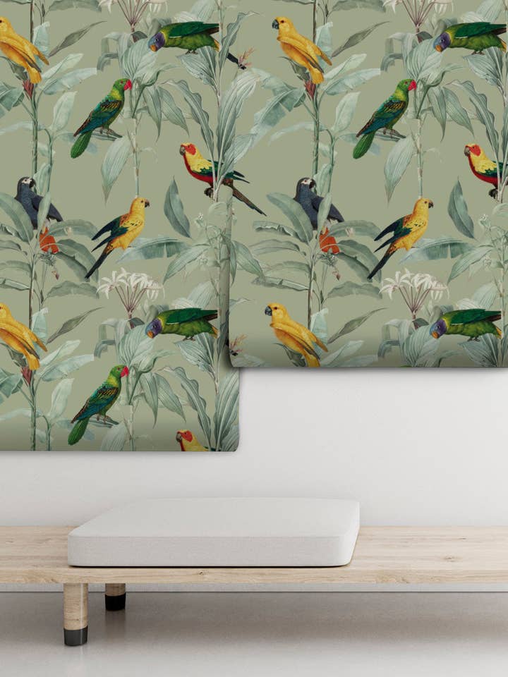 Brasile verde per la vendita all'ingrosso da parte di PIPAPEL