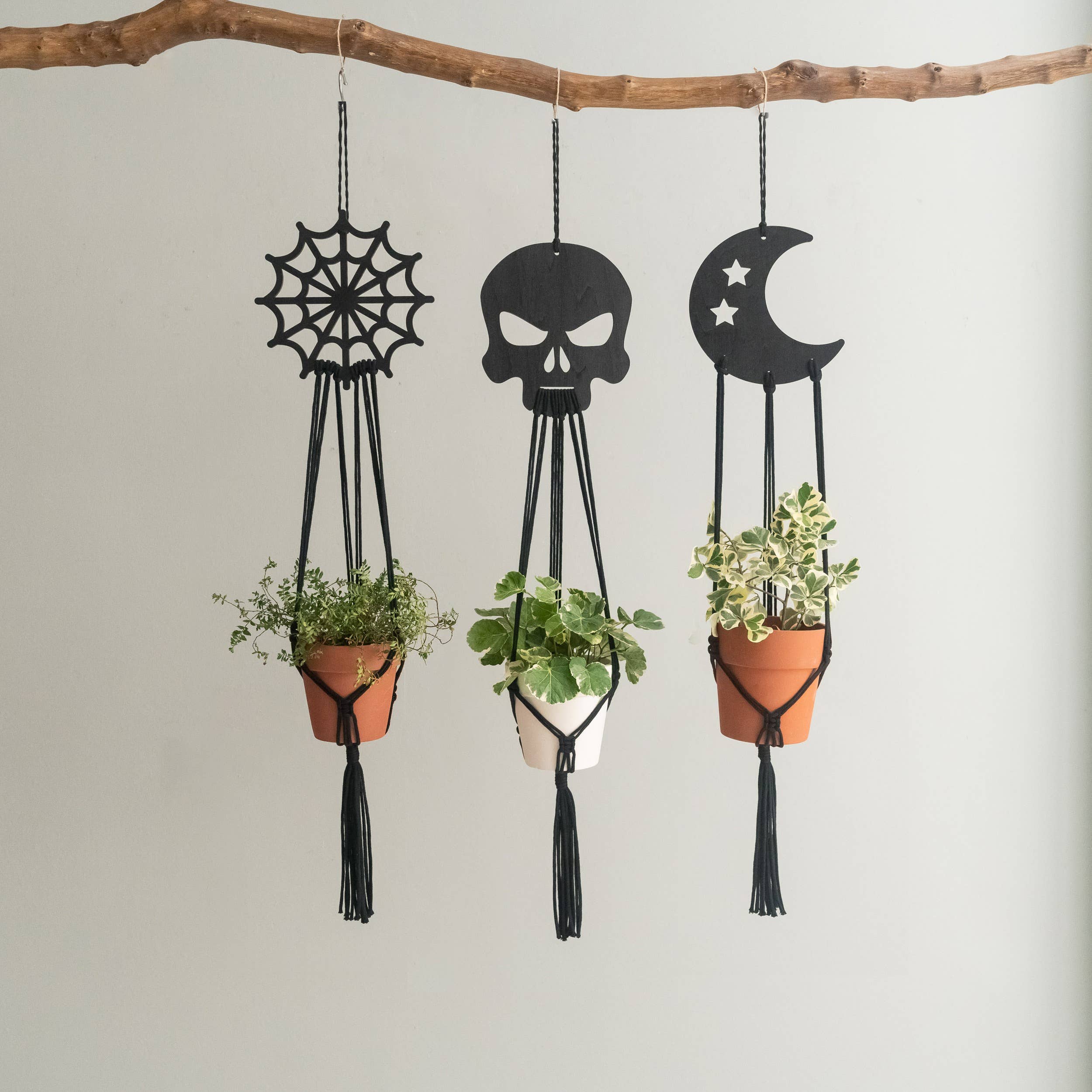 BeanDaikon – Engroshandel Hængende plantekasse – Gotisk Macramé Planteophæng Halloween Dekoration I988