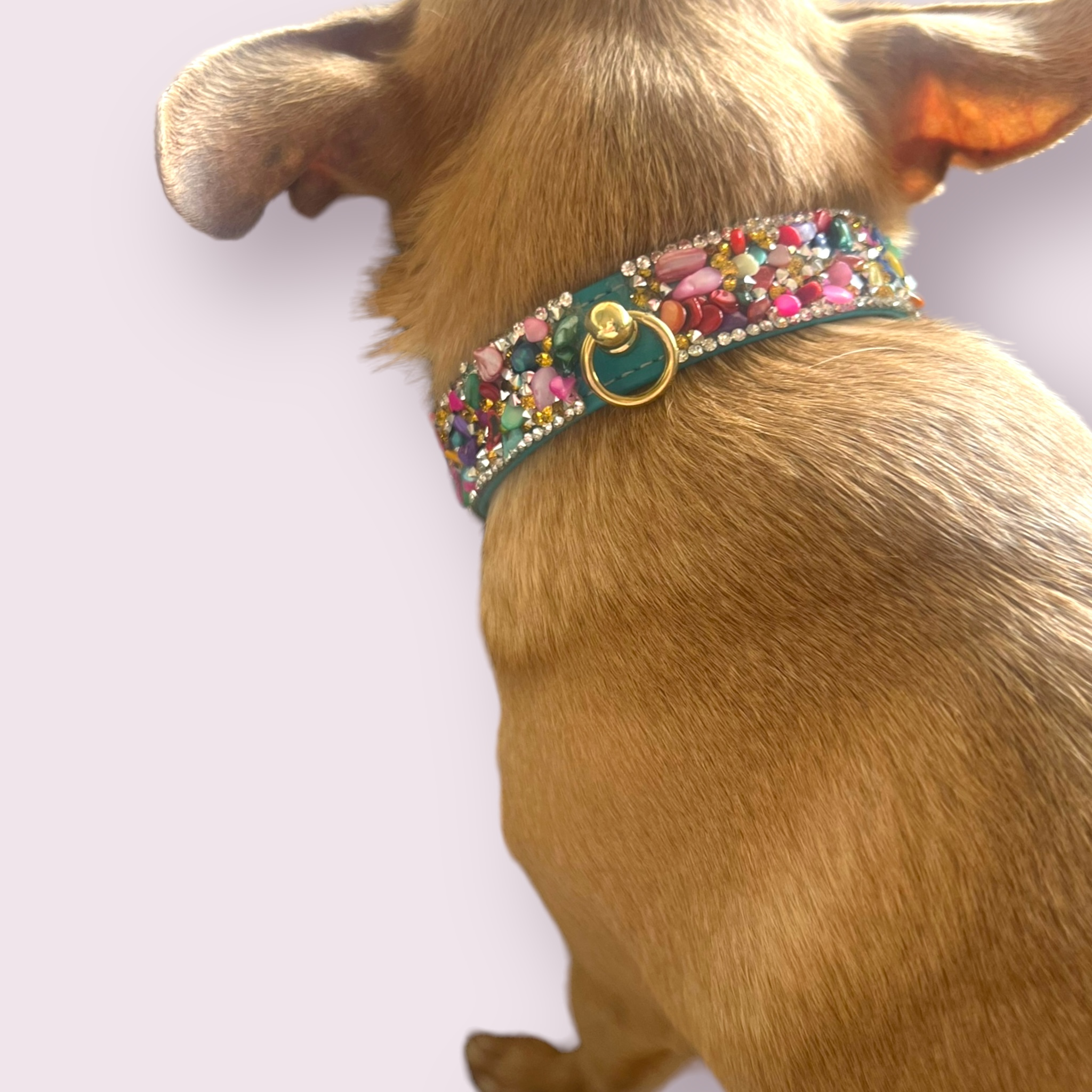 Bark Fifth Avenue – wholesale Pet collar – Dog – The Kelvin- Dog Collar7