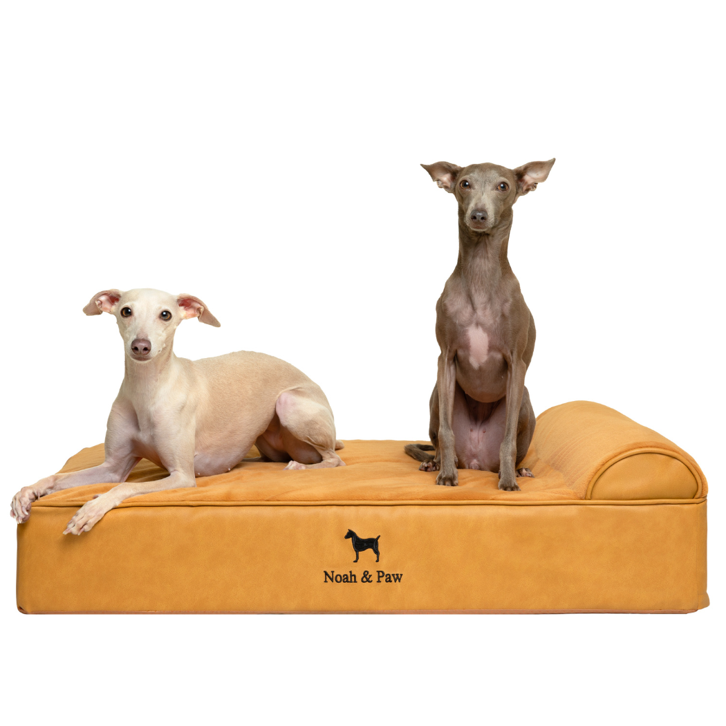 NOAH AND PAW LLC – Großhandel Haustierbett – Katze/Hund – Orthopädisches Hundebett aus Kunstleder mit Memory-Schaum und kühlendem Gel, klassischer Stil7