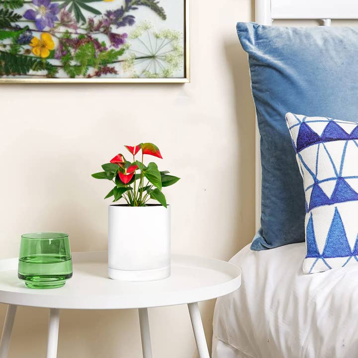 SiegmuntTrade LLC - Wholesale Plant Pot - 4 Pack Plastic Plant Pots Indoor, 4/5/6/7 Inches7