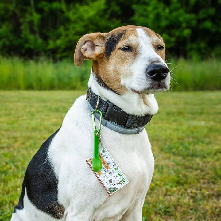 TickCheck - Wholesale Pet Grooming Tool - Dog - TickCheck Tick Remover Spoon 3 Pack- 12pc Hang Strip Display9