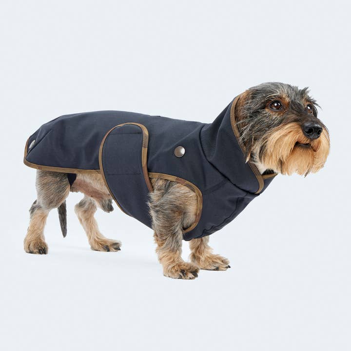 Dog raincoat parka dark blue for wholesale by Leopold's Finest for dogs