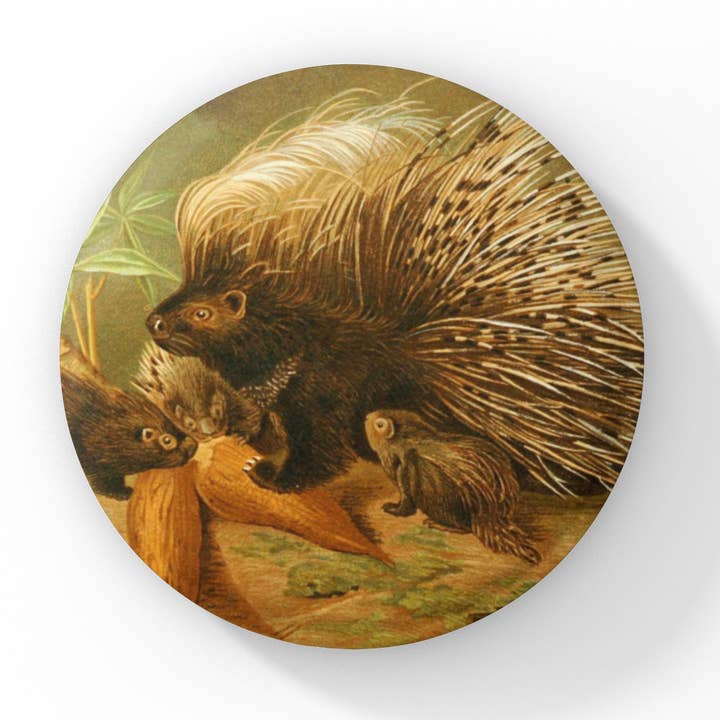 Porcupine Pin Button, Porcupine Keychain, Porcupine Magnet for wholesale by NatureCuts