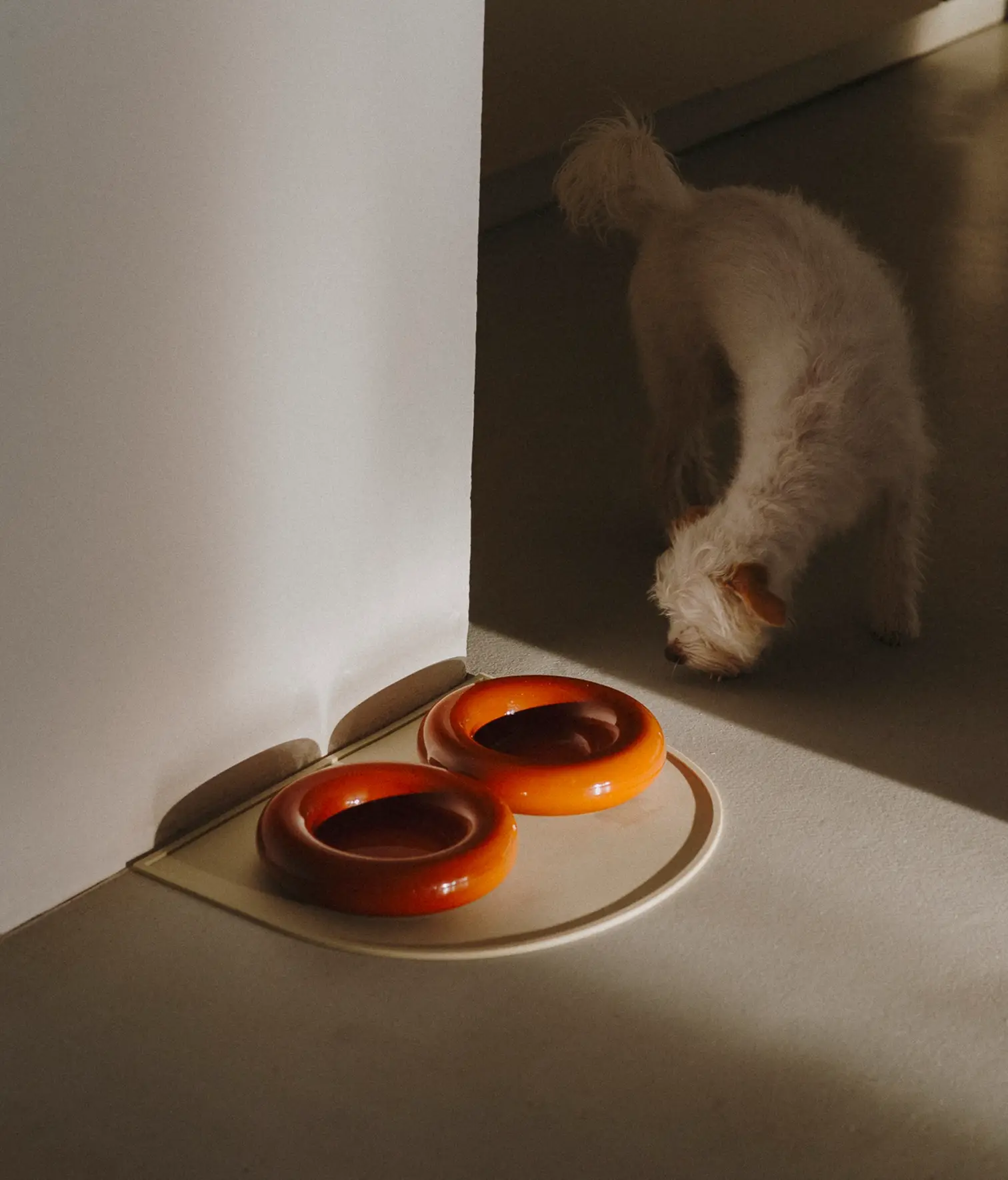 HotDog Pets - Wholesale Pet Bowl - Cat/Dog - Brown ceramic dog feeder2